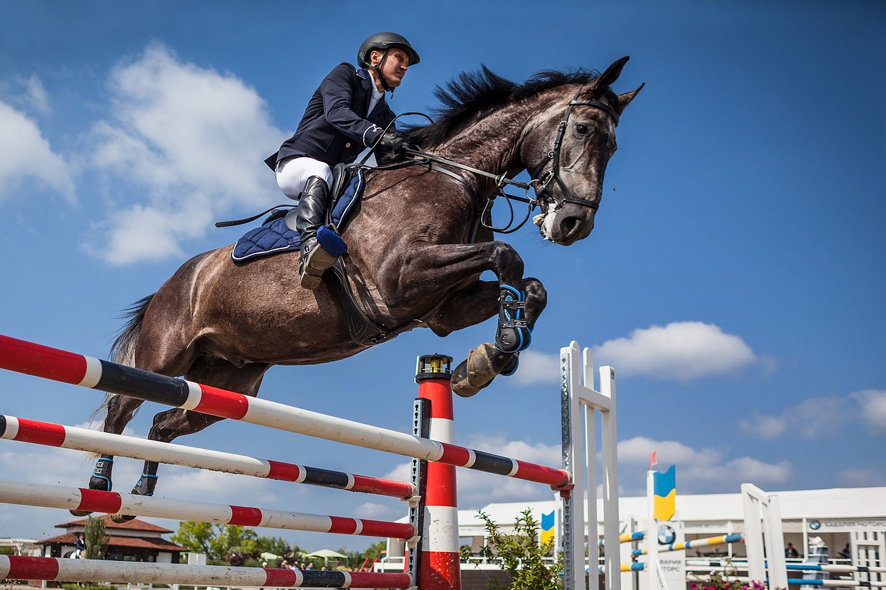 Springreiten